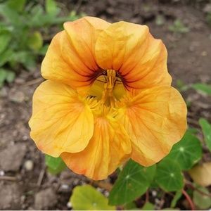 Meet your Posher, Tara